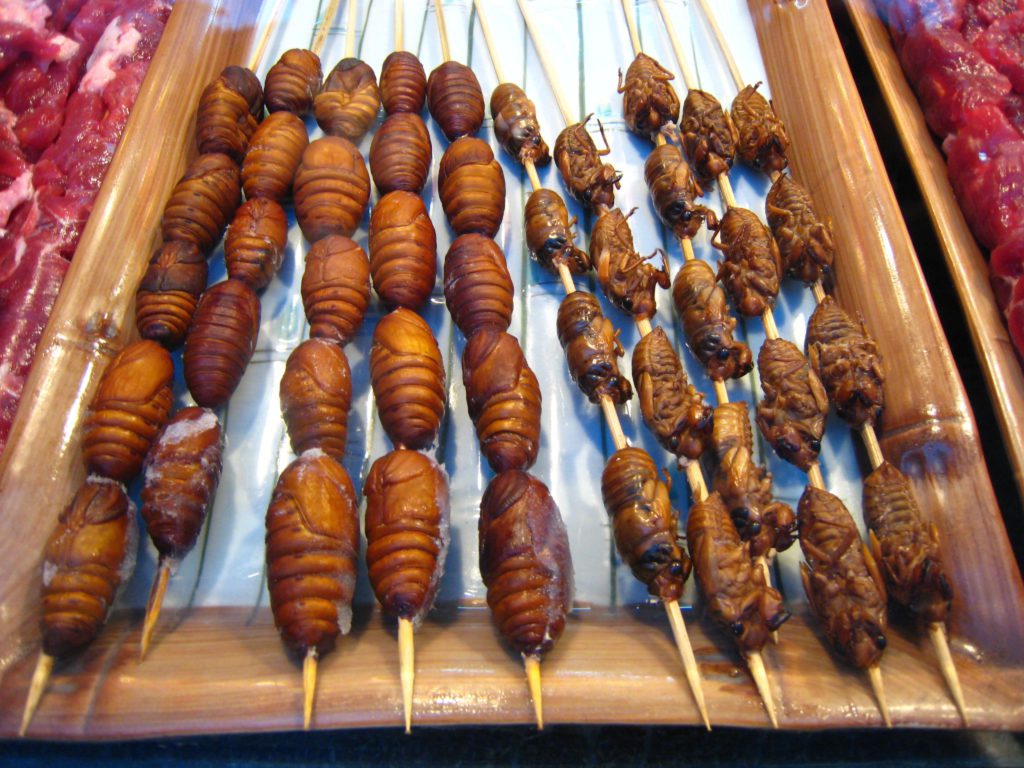Come ti cucino gli insetti. 24 piatti considerati gourmet (altro che schifo!)