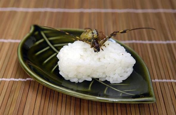 Come ti cucino gli insetti. 24 piatti considerati gourmet (altro che schifo!)