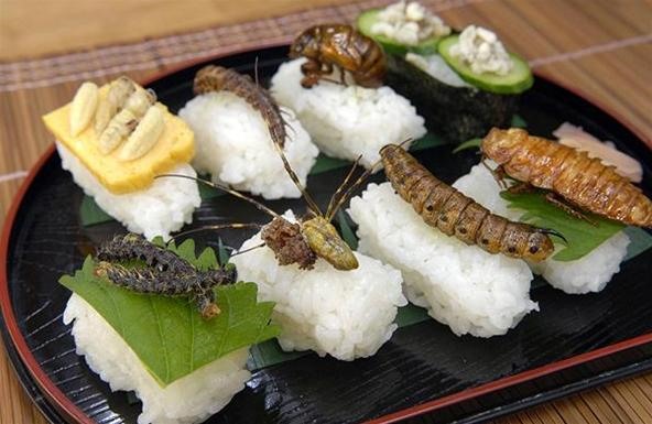 Come ti cucino gli insetti. 24 piatti considerati gourmet (altro che schifo!)