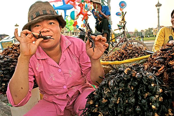 Come ti cucino gli insetti. 24 piatti considerati gourmet (altro che schifo!)