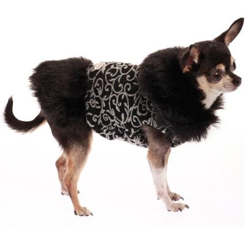 20 cappottini e abiti per cani che sembrano outfit umani