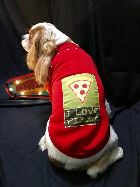 20 cappottini e abiti per cani che sembrano outfit umani