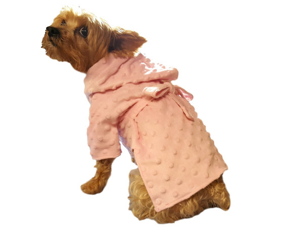 20 cappottini e abiti per cani che sembrano outfit umani