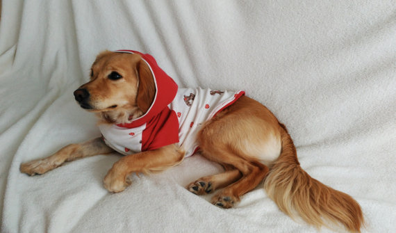 20 cappottini e abiti per cani che sembrano outfit umani