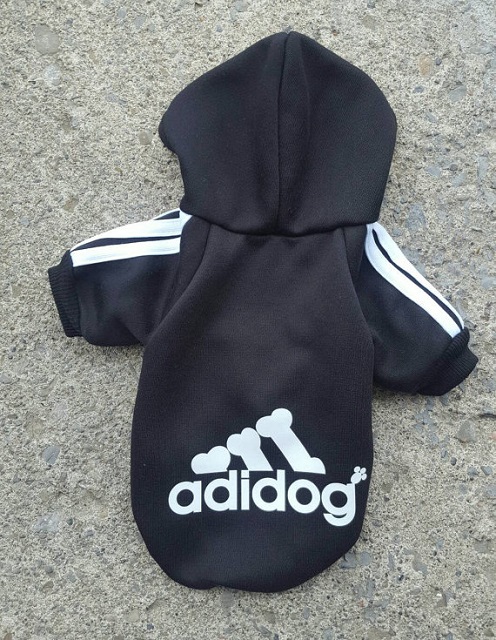 20 cappottini e abiti per cani che sembrano outfit umani