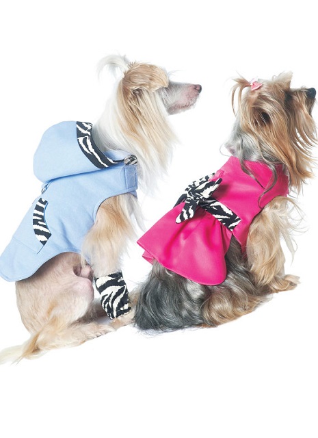 20 cappottini e abiti per cani che sembrano outfit umani
