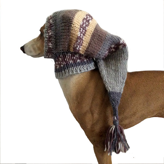 20 cappottini e abiti per cani che sembrano outfit umani