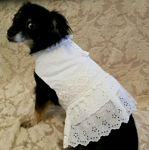 20 cappottini e abiti per cani che sembrano outfit umani