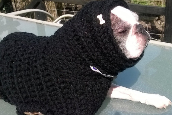 20 cappottini e abiti per cani che sembrano outfit umani