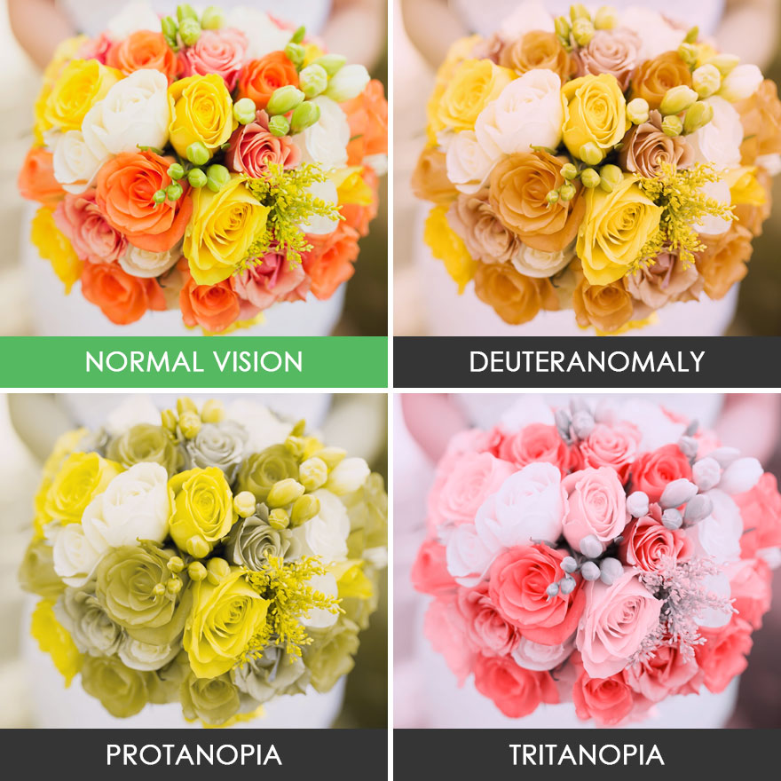 Come Rimediare Ai Colori In Lavatrice