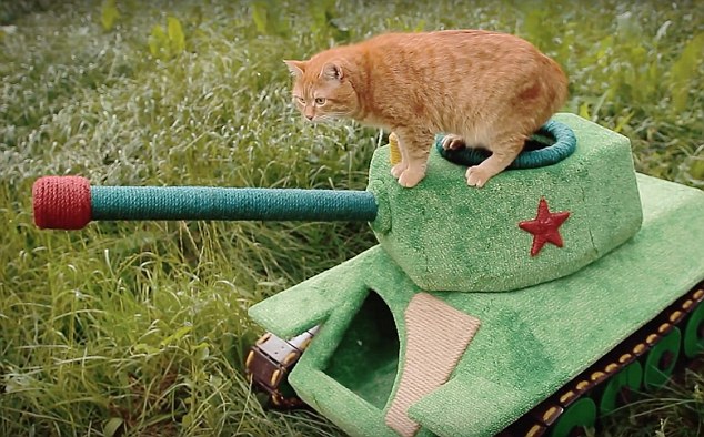 I giocattoli per gatti più originali (e assurdi) mai visti