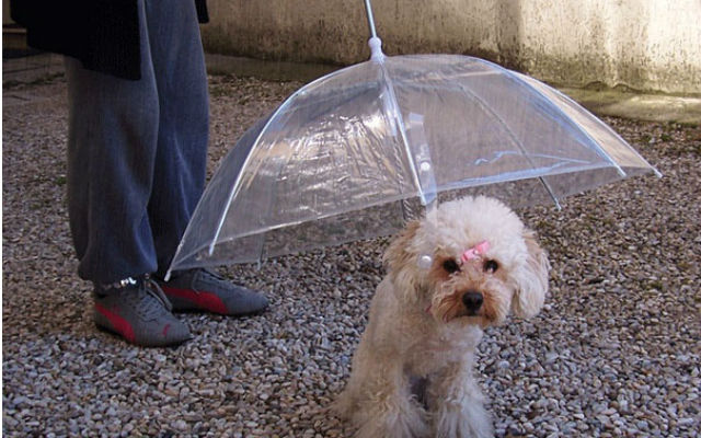 22 invenzioni che ti sorprenderanno (nel bene o nel male)