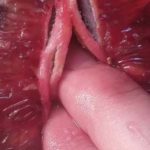 Quando il food porn trend diventa davvero porno