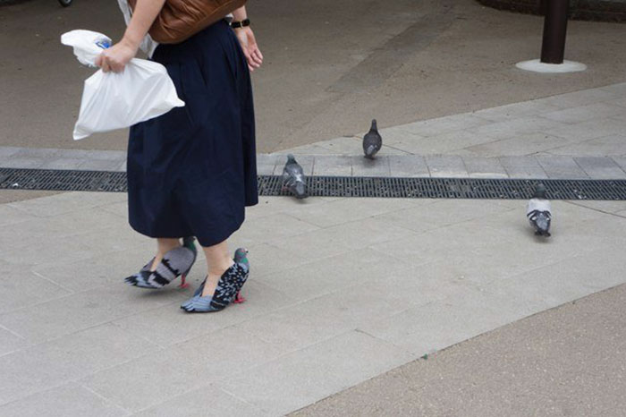 Tutti pazzi per le scarpe piccione con il tacco