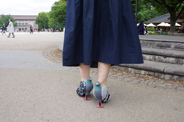 Tutti pazzi per le scarpe piccione con il tacco