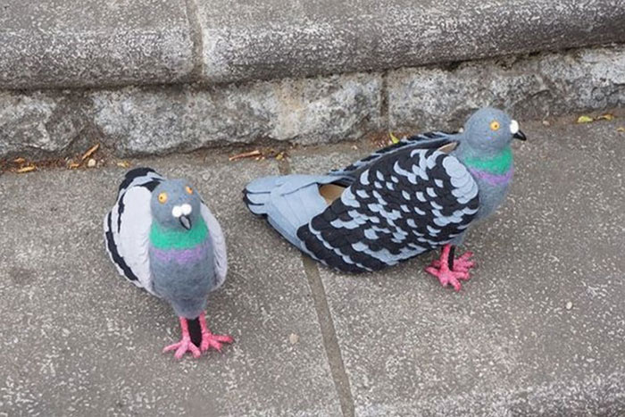 Tutti pazzi per le scarpe piccione con il tacco