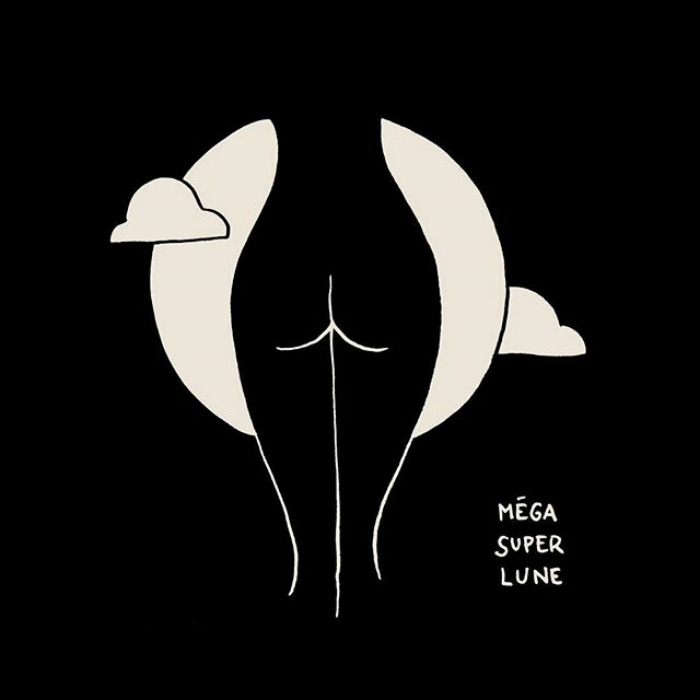 21 disegni erotici di una mente selvaggia
