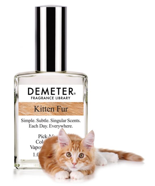 Se sei una vera amante degli animali non puoi resistere a questi trucchi
