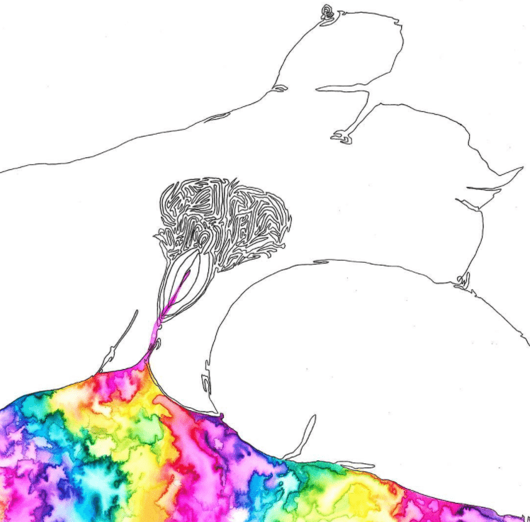 La femminilità di smagliature e mestruazioni diventa arte e colore