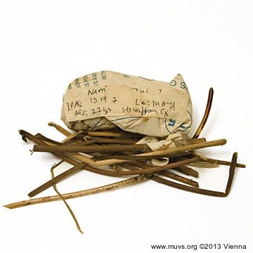 Esiste un Museo dell'Aborto e della Contraccezione e ogni donna deve conoscere queste 21 cose