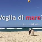Voglia di mare? Provate a resistere a loro!