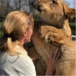 Gli abbracci delle leonesse a Michaela: l'emozione in un video