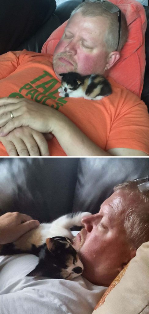 40 immagini di persone che avevano detto "in questa casa non entra nessun gatto"