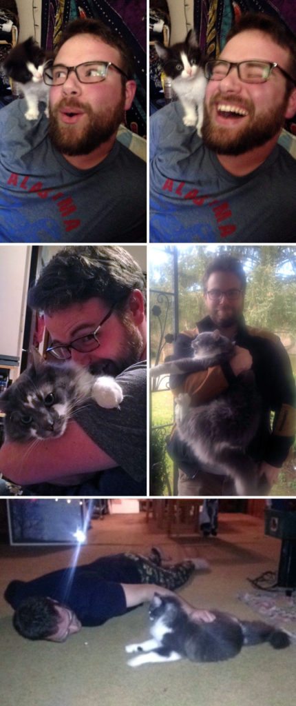 40 immagini di persone che avevano detto "in questa casa non entra nessun gatto"