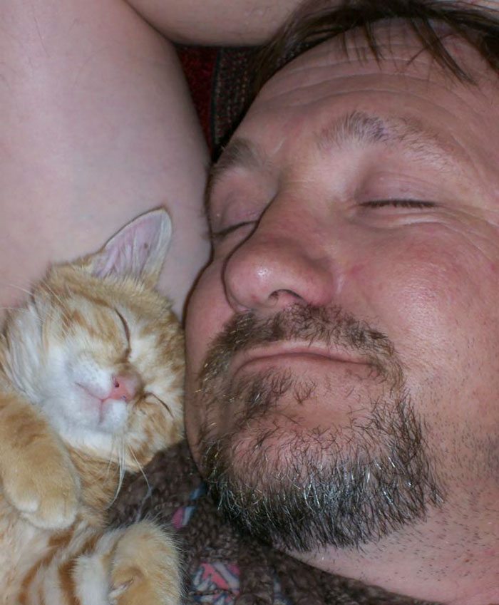 40 immagini di persone che avevano detto "in questa casa non entra nessun gatto"