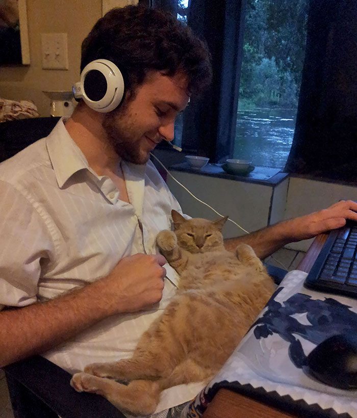 40 immagini di persone che avevano detto "in questa casa non entra nessun gatto"