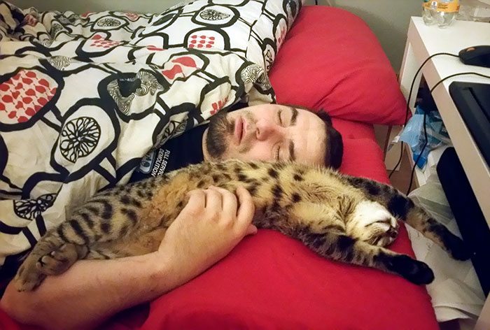 40 immagini di persone che avevano detto "in questa casa non entra nessun gatto"