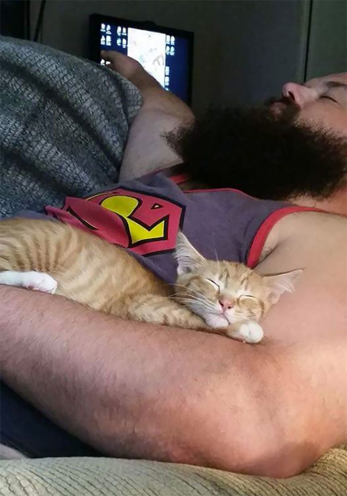 40 immagini di persone che avevano detto "in questa casa non entra nessun gatto"