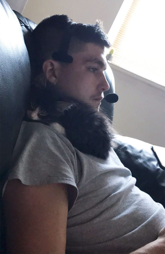 40 immagini di persone che avevano detto "in questa casa non entra nessun gatto"