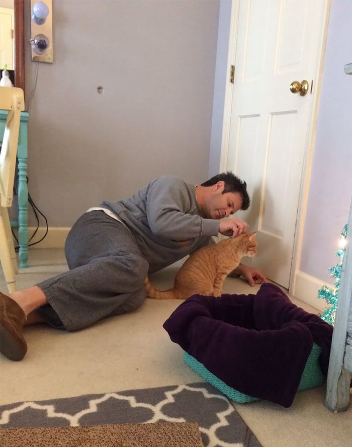 40 immagini di persone che avevano detto "in questa casa non entra nessun gatto"