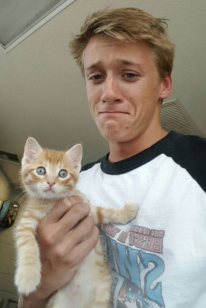 40 immagini di persone che avevano detto "in questa casa non entra nessun gatto"