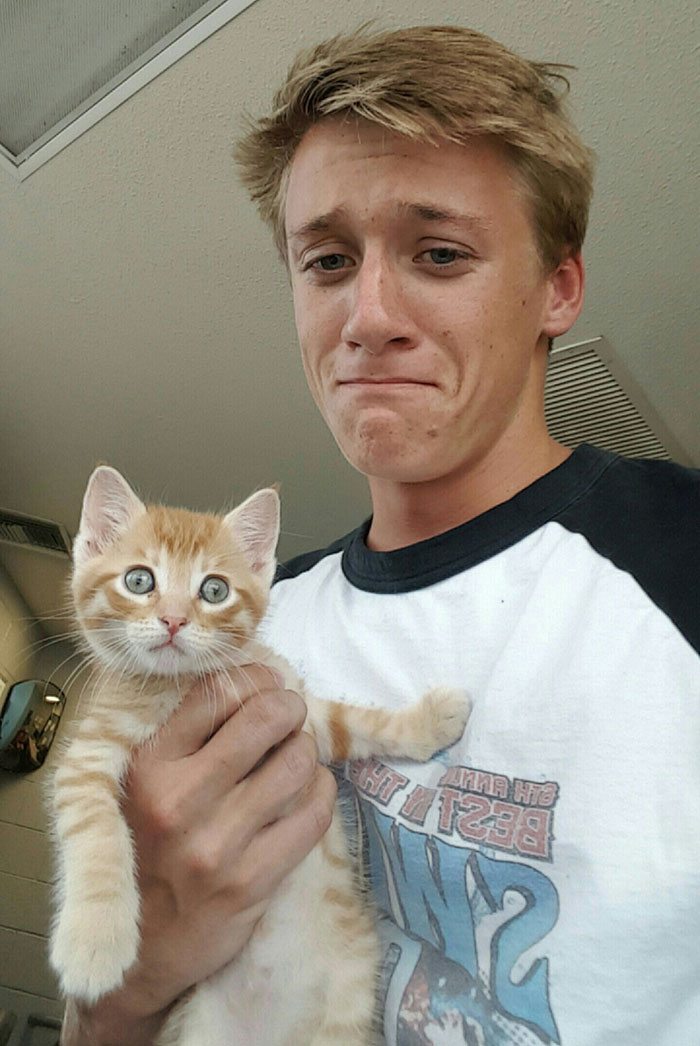 40 immagini di persone che avevano detto "in questa casa non entra nessun gatto"