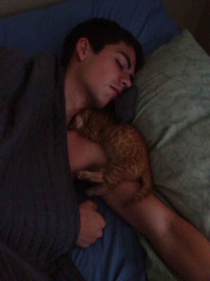 40 immagini di persone che avevano detto "in questa casa non entra nessun gatto"