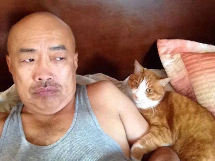 40 immagini di persone che avevano detto "in questa casa non entra nessun gatto"