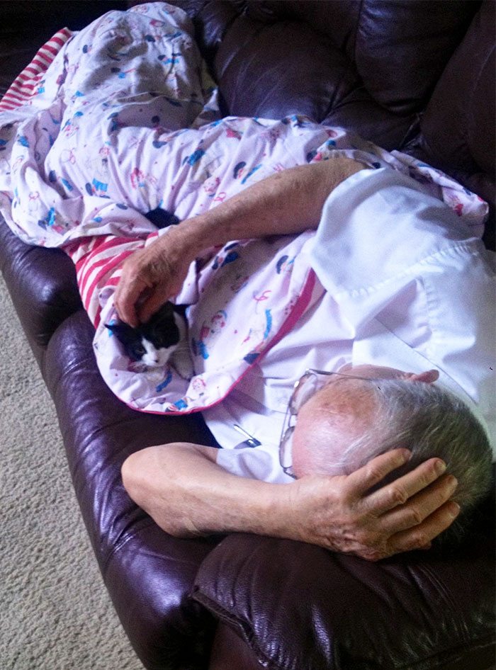 40 immagini di persone che avevano detto "in questa casa non entra nessun gatto"
