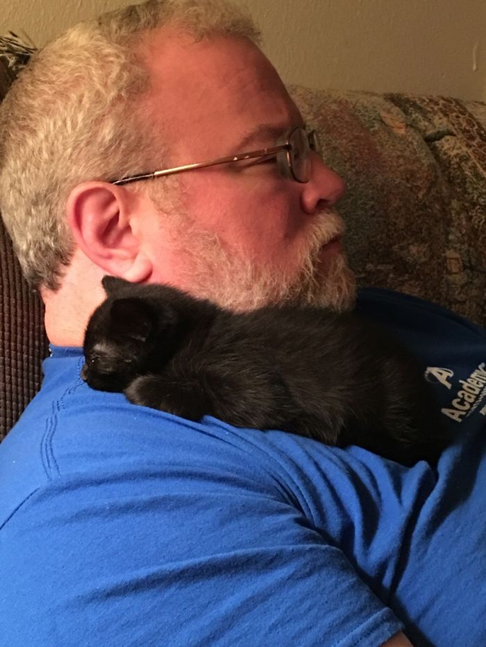 40 immagini di persone che avevano detto "in questa casa non entra nessun gatto"