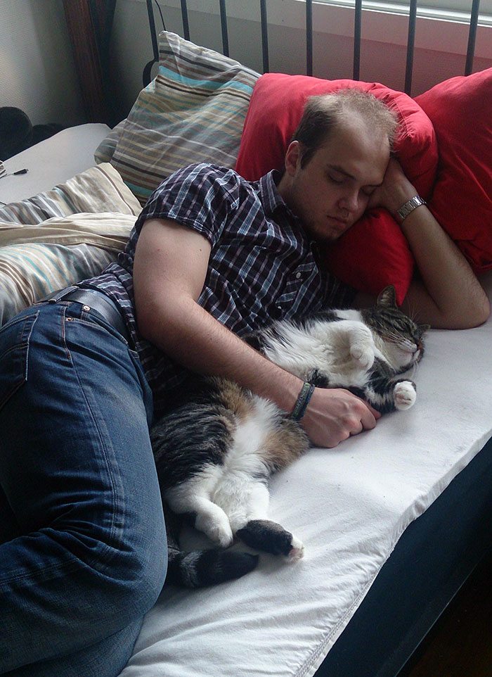 40 immagini di persone che avevano detto "in questa casa non entra nessun gatto"