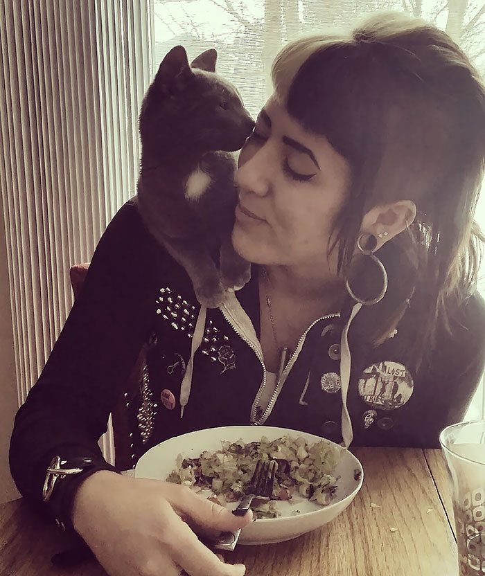 40 immagini di persone che avevano detto "in questa casa non entra nessun gatto"