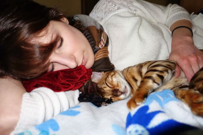 40 immagini di persone che avevano detto "in questa casa non entra nessun gatto"