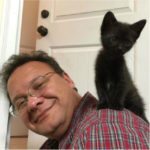 40 immagini di persone che avevano detto "in questa casa non entra nessun gatto"