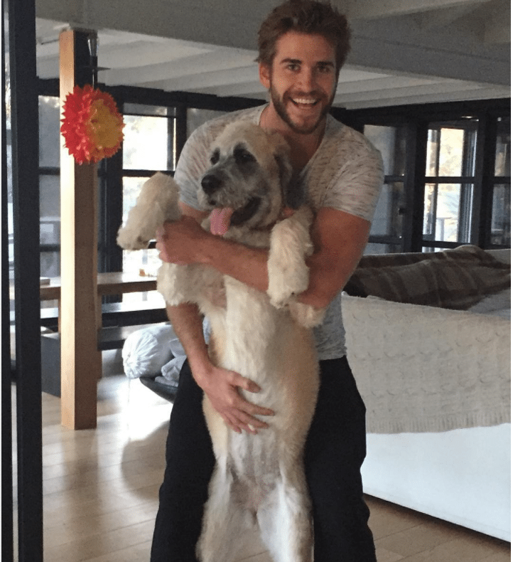 Miley Cyrus e Liam Hemsworth, divorziati ma ufficialmente single sono da febbraio