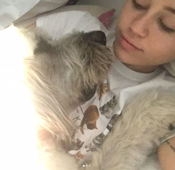 Miley Cyrus e Liam Hemsworth, divorziati ma ufficialmente single sono da febbraio