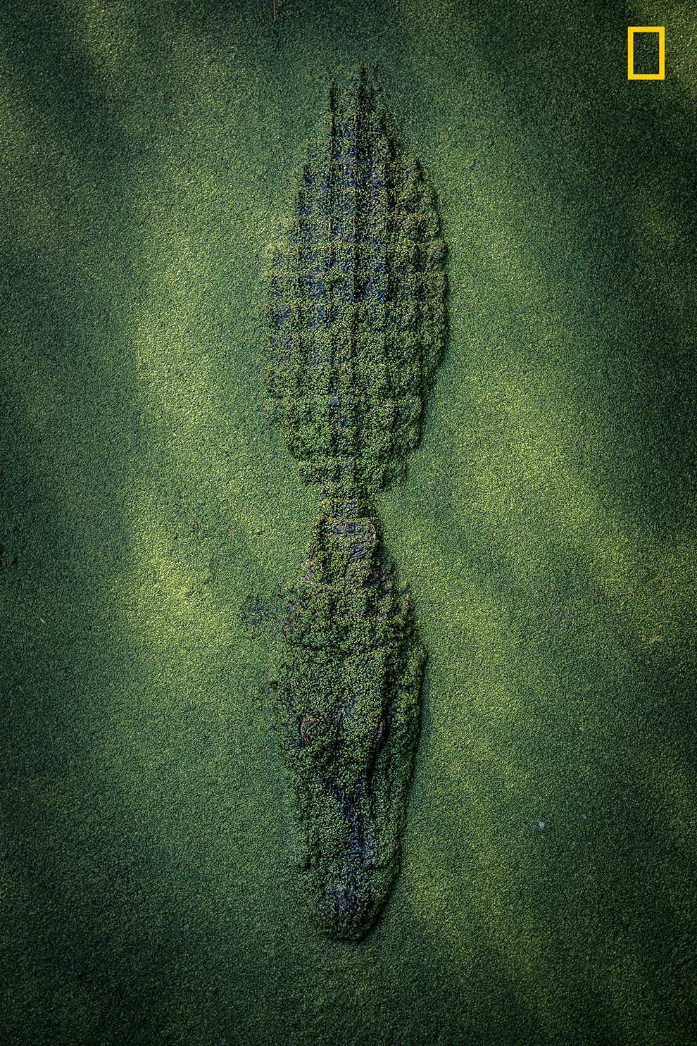 Attenzione: il National Geographic cerca fotografi