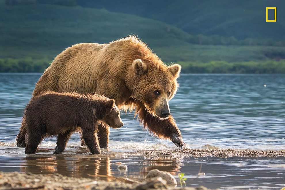 Attenzione: il National Geographic cerca fotografi
