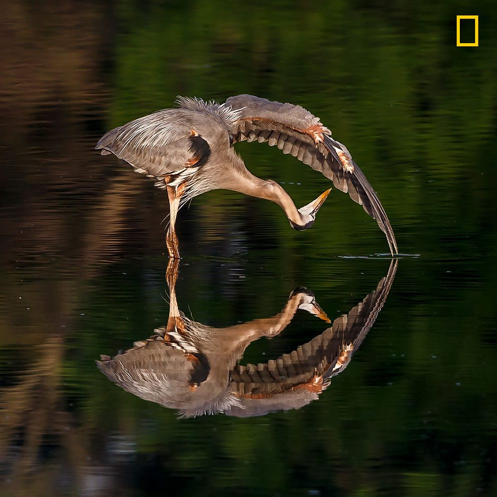 Attenzione: il National Geographic cerca fotografi