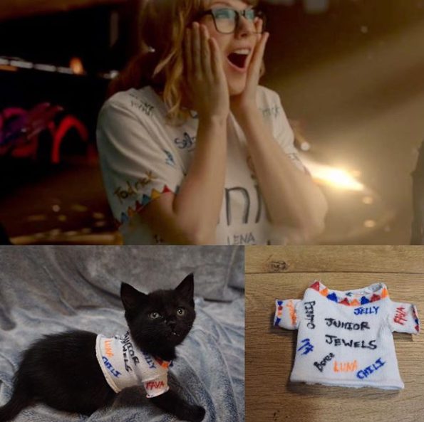 Come Taylor Swift: i gattini indossano gli outfit della star